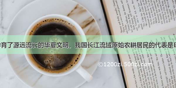 黄河 长江孕育了源远流长的华夏文明。我国长江流域原始农耕居民的代表是BA. 北京人B