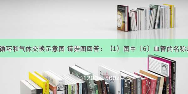 如图是血液循环和气体交换示意图 请据图回答：（1）图中〔6〕血管的名称是（2）血液