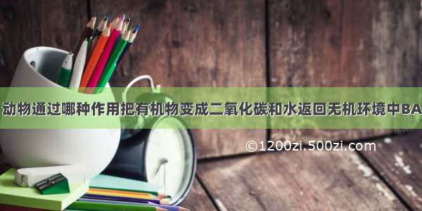 生态系统中 动物通过哪种作用把有机物变成二氧化碳和水返回无机环境中BA. 光合作用B