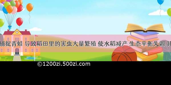 某地大量捕捉青蛙 导致稻田里的害虫大量繁殖 使水稻减产 生态平衡失调 其原因是破