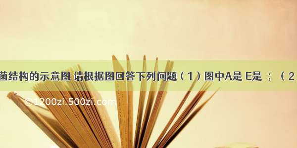 如图是细菌结构的示意图 请根据图回答下列问题（1）图中A是 E是　；（2）F是　 它