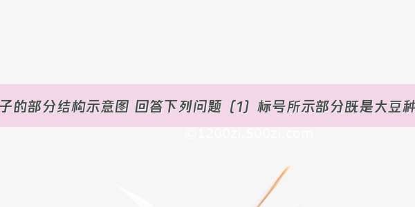 根据大豆种子的部分结构示意图 回答下列问题（1）标号所示部分既是大豆种子的主要部