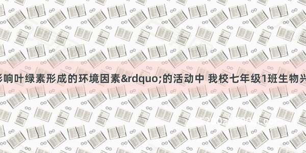 在“探究影响叶绿素形成的环境因素”的活动中 我校七年级1班生物兴趣小组 作出的假