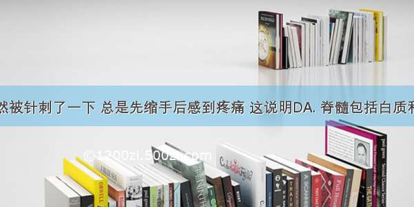 人的手偶然被针刺了一下 总是先缩手后感到疼痛 这说明DA. 脊髓包括白质和灰质两部