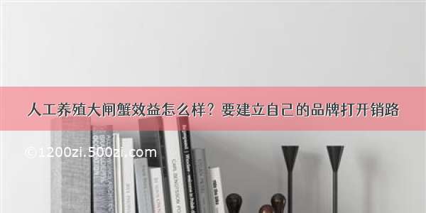 人工养殖大闸蟹效益怎么样？要建立自己的品牌打开销路