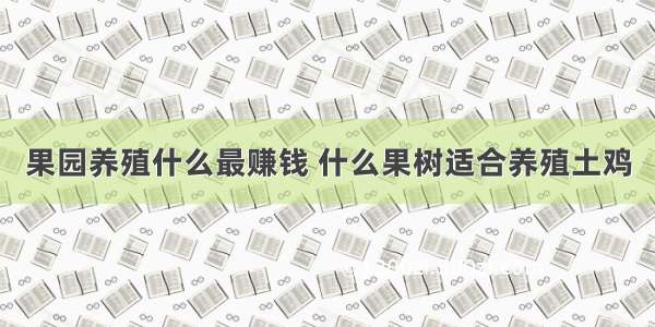 果园养殖什么最赚钱 什么果树适合养殖土鸡