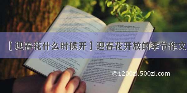 【迎春花什么时候开】迎春花开放的季节作文