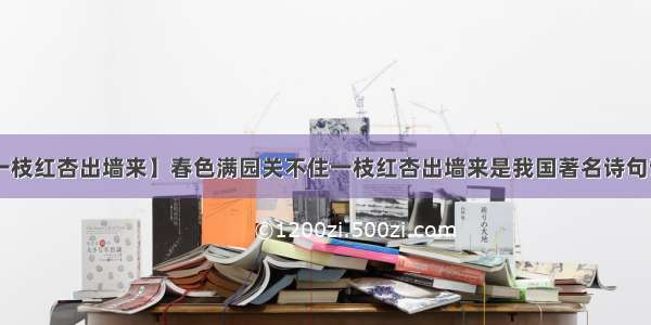 【一枝红杏出墙来】春色满园关不住一枝红杏出墙来是我国著名诗句试....