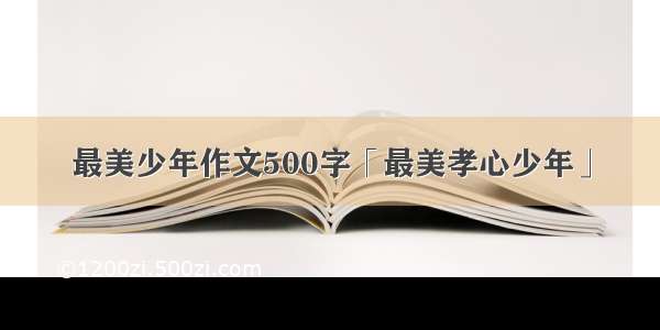 最美少年作文500字「最美孝心少年」