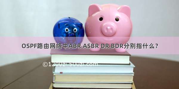 OSPF路由网络中ABR ASBR DR BDR分别指什么？