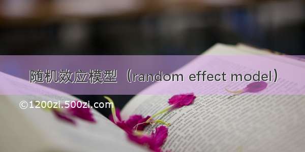 随机效应模型（random effect model）