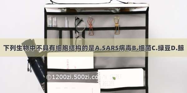 下列生物中不具有细胞结构的是A.SARS病毒B.细菌C.绿豆D.鲸