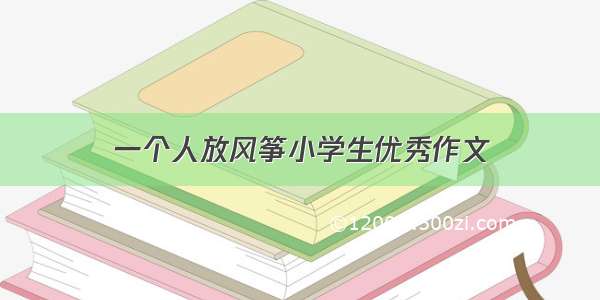 一个人放风筝小学生优秀作文