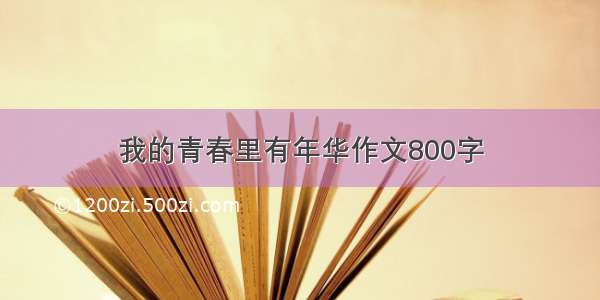 我的青春里有年华作文800字