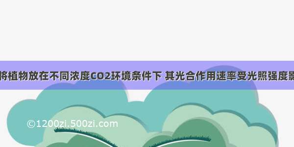 如下图表示将植物放在不同浓度CO2环境条件下 其光合作用速率受光照强度影响的变化曲