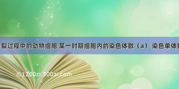 处于有丝分裂过程中的动物细胞 某一时期细胞内的染色体数（a） 染色单体数（b） DN