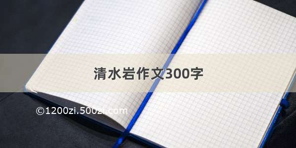 清水岩作文300字