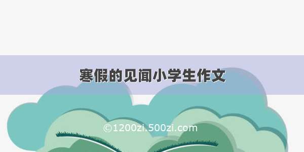 寒假的见闻小学生作文