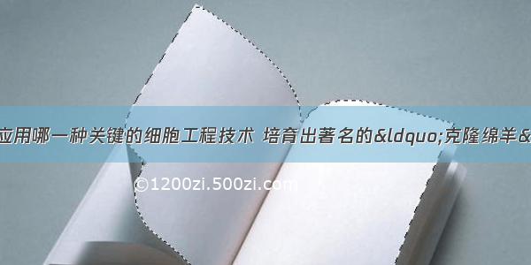 单选题英国科学家应用哪一种关键的细胞工程技术 培育出著名的“克隆绵羊”A.细胞和组