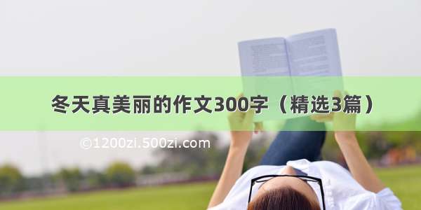 冬天真美丽的作文300字（精选3篇）