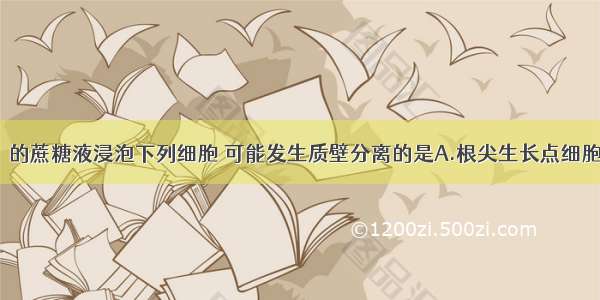 单选题用30％的蔗糖液浸泡下列细胞 可能发生质壁分离的是A.根尖生长点细胞B.根尖根毛