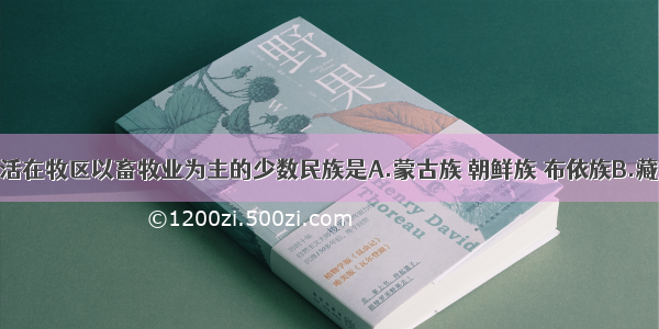 在我国 生活在牧区以畜牧业为主的少数民族是A.蒙古族 朝鲜族 布依族B.藏族 蒙古族