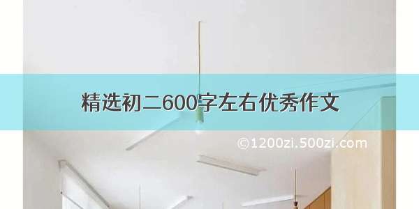 精选初二600字左右优秀作文