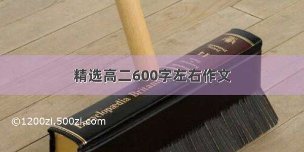 精选高二600字左右作文