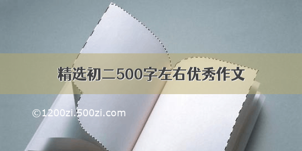 精选初二500字左右优秀作文