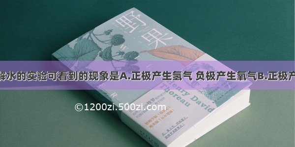 单选题从电解水的实验可看到的现象是A.正极产生氢气 负极产生氧气B.正极产生氧气 负极