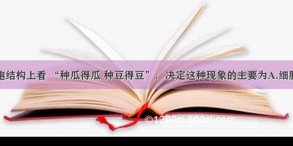 单选题从细胞结构上看 “种瓜得瓜 种豆得豆”．决定这种现象的主要为A.细胞壁B.细胞核